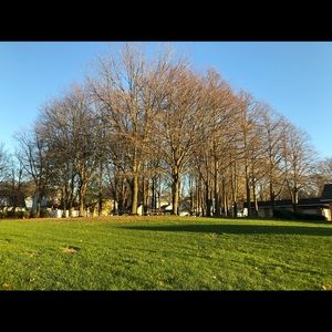 Meet your Posher, Bing